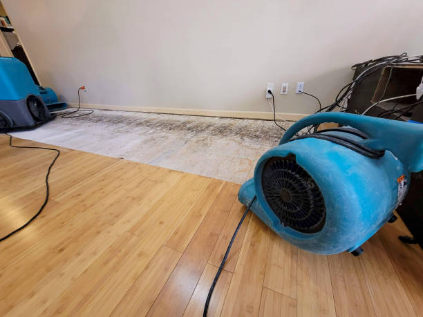 Professional Water Damage Repair technician working in Clearwater, MN